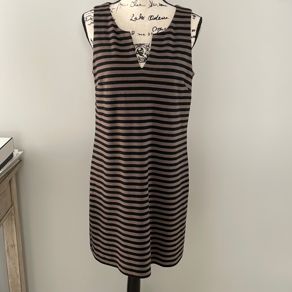 Comfortable striped Banana Republic Sheath